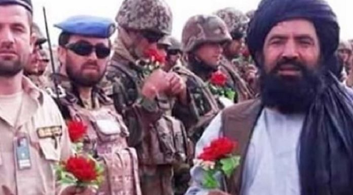 Afganistan’da barış ve Taliban’ın rolü